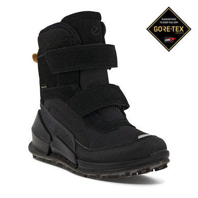ECCO Biom K2 Gore-Tex — Black