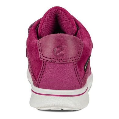 ECCO First GORE-TEX — Morillo/Red Plum