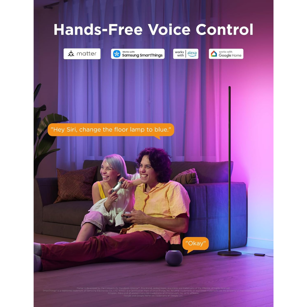 Govee RGBIC LED Floor Lamp - Lastenurk.com